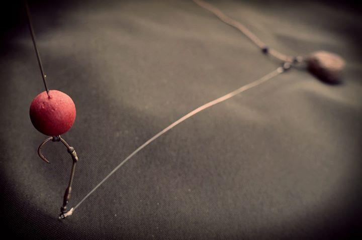 Diverse - img4009547723999.jpeg